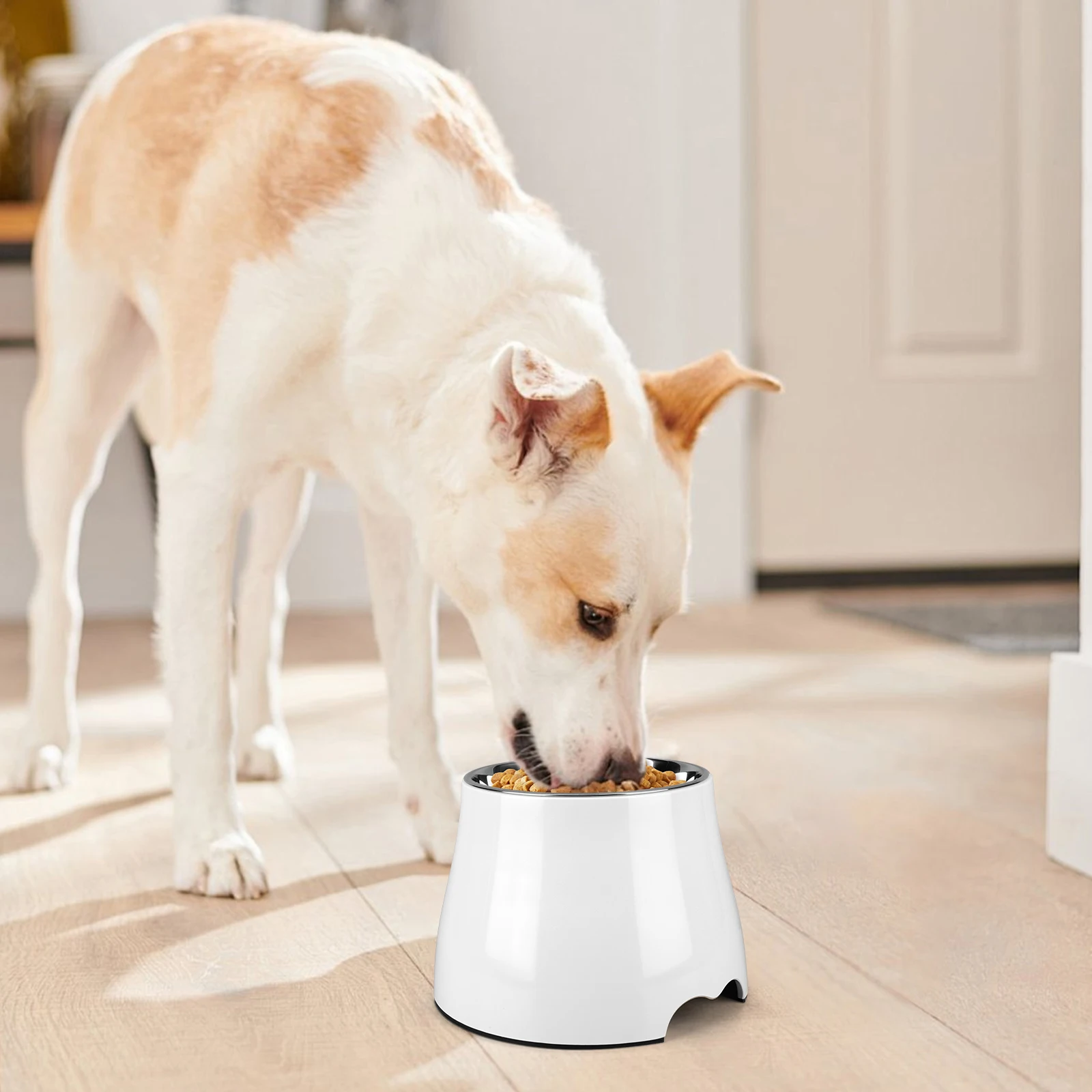 

Non-Slip Food and Water Bowl with Anti-Skid Rubber Base Anti-Slip Dog Bowls Spill Proof Dog Food Bowl for Dogs Cats Puppy Rabbit