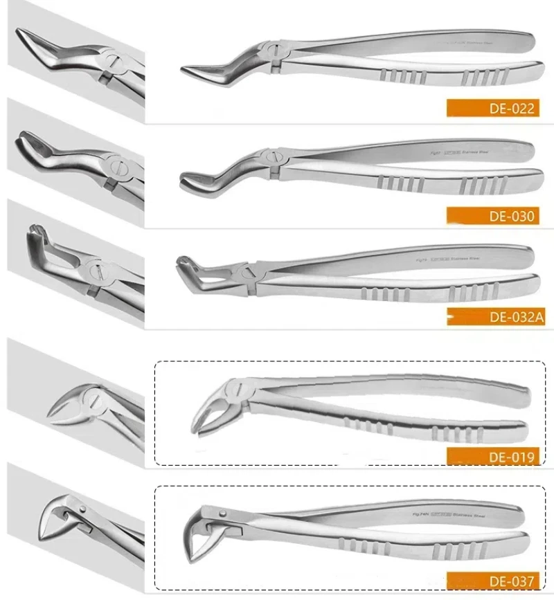 1szt Wysokiej jakości dentystyczne szczypce do ekstrakcji zębów dla dorosłych Mądrość Zęby trzonowe Szczypce do ekstrakcji dentystycznych Narzędzia