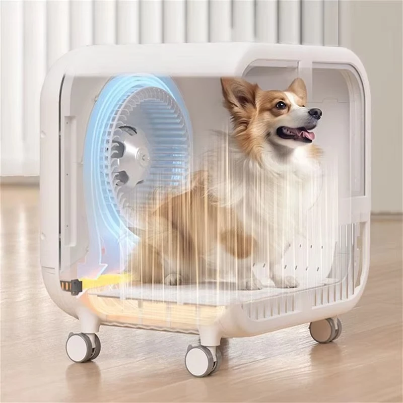 Automatic Professional Pet Hair Drying Machine Hot-selling Professional Cat Dryer Box for Dog Grooming