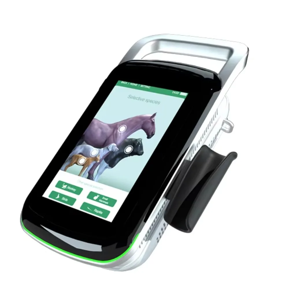 Veterinary Class 4 Therapy Equipment for Postoperative Healing and Wound Recovery in Animals