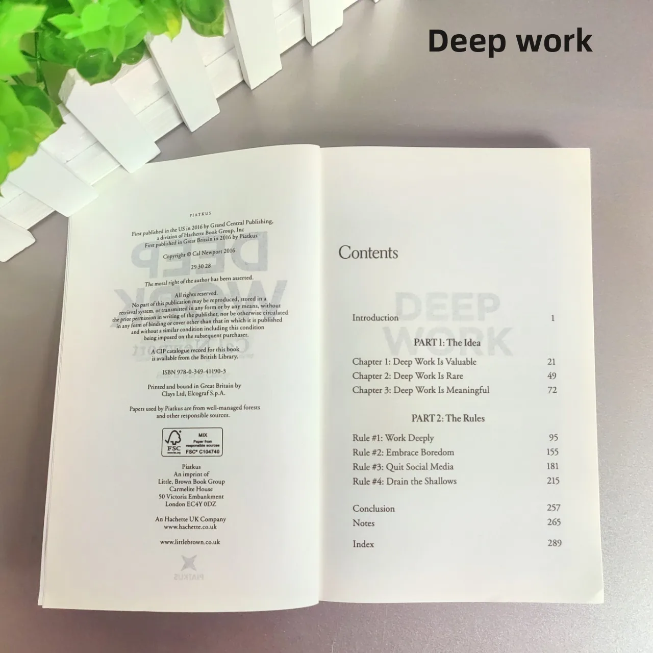 Deep Work Cal's Deep Work Newport focuses on successful rules, leadership and motivational books in a distracted world.