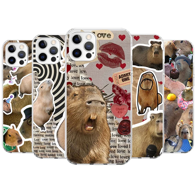 Funny Capybara Phone Case For Apple iPhone 11 12 13 14 15 16 Pro Max 7 X XS 8 Plus + Mini SE Customized Print Soft Cover For App