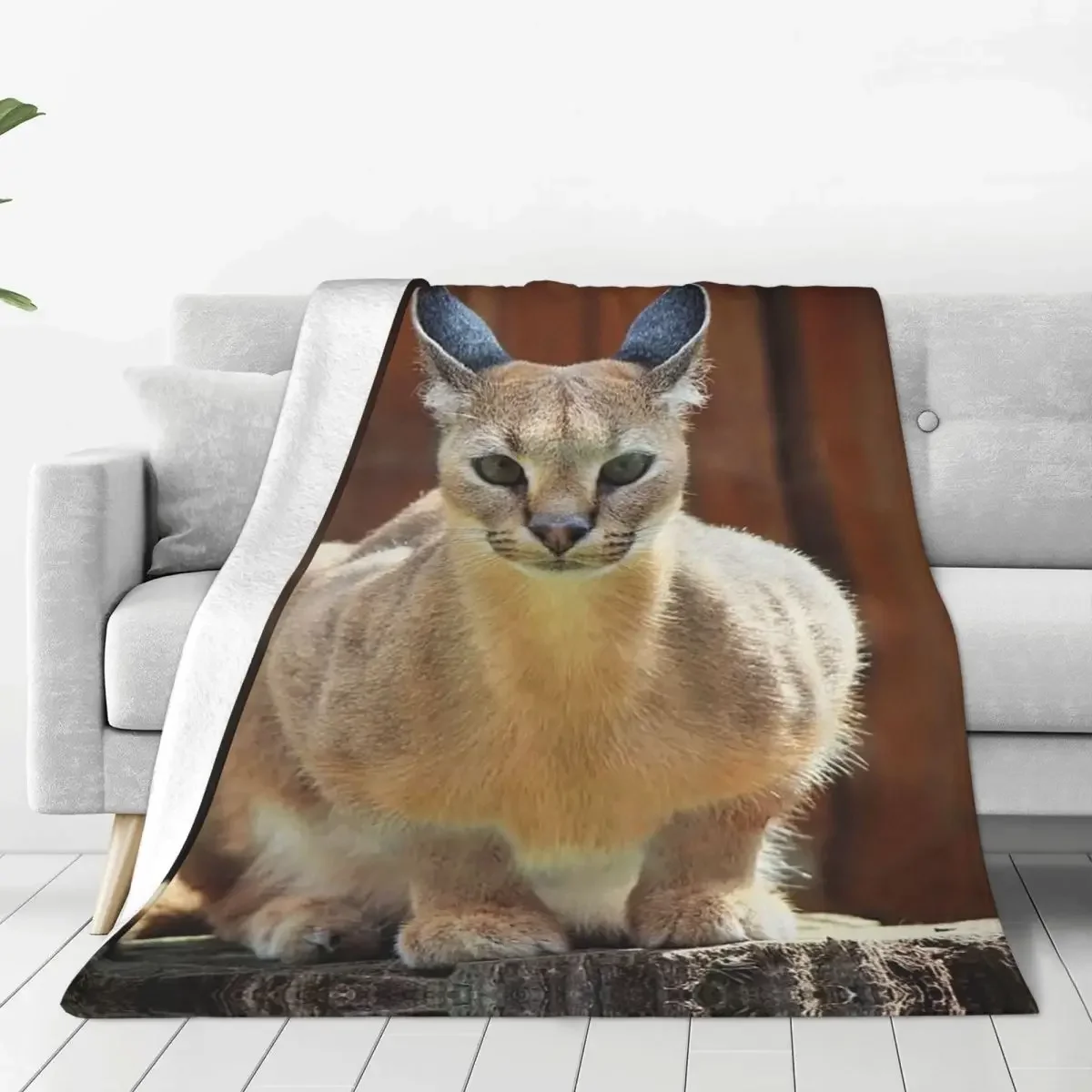 Caracal Cat Blankets Floppa Animal Flannel Novelty Soft Throw Blanket for Bedding Lounge Summer