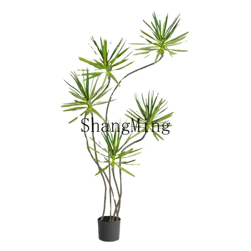 

DSA potted green plants indoor large living room large bonsai multi-headed dragon iron tree asparagus simulation office plant