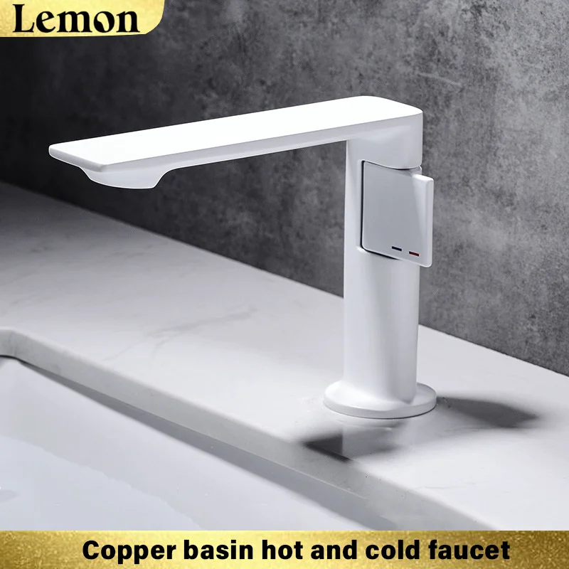 

Gunmetal Grey Bathroom Faucet Copper Hot And Cold Water Wash Basin Sink All-In-One Basin Sink Faucet for Bathrooms
