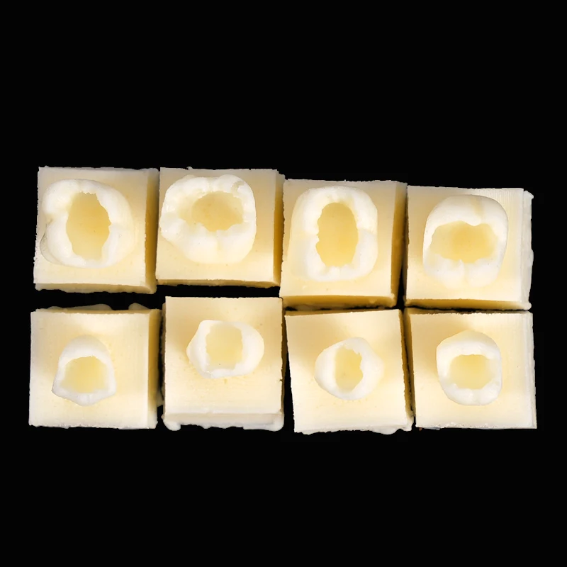 8pcs Dental Resin Filling Practice Model Posterior Teeth Cavity Hole Restoration Student Training Tooth Filling Practice Model