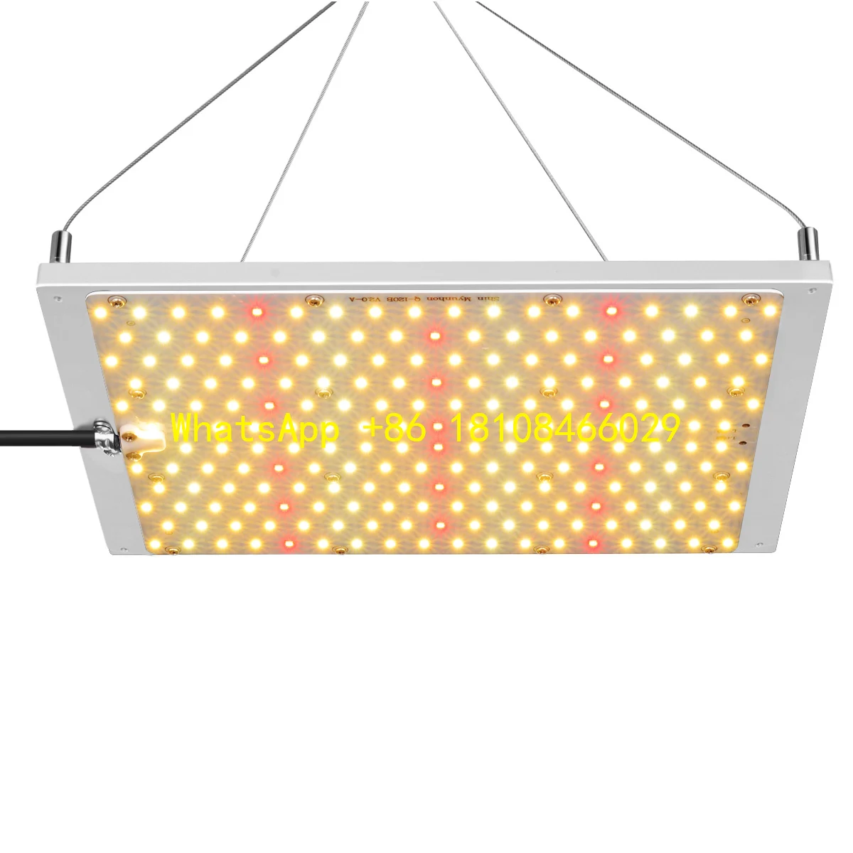 

Warm White Emitting Direct Source Grow Light Manufacturer-Supplied Board DIY Indoor Hydroponic Plant Full Spectrum LED