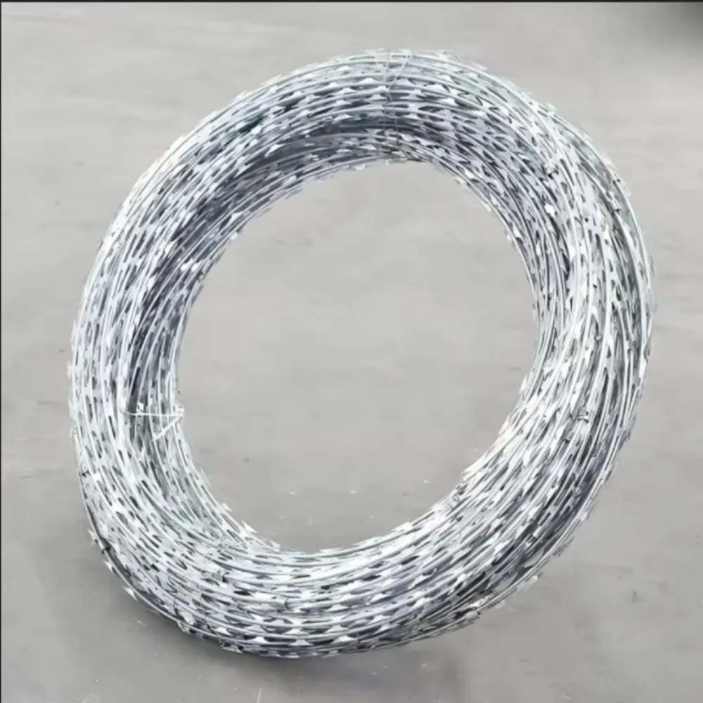 Penjualan Panas Tali Berduri Pelindung Keselamatan/Kawat Berduri Pelindung Keselamatan/Kawat Berduri Pisau