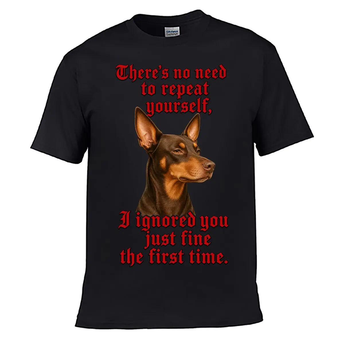 T-shirt vintage délavé et vieilli à coupe ample avec motif textuel gothique et citation « Ignored Dog »
