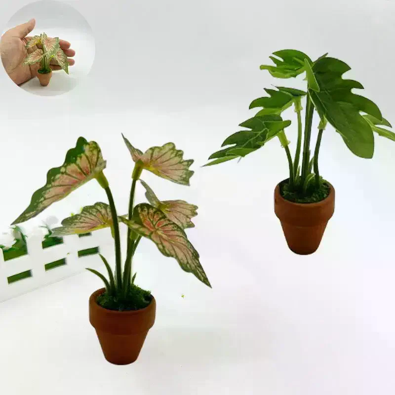 1Pcs Miniature Scandinavian Style Decoration Dollhouse Green Plants Mini Taro Turtle Back Green Potted Plants Props Model