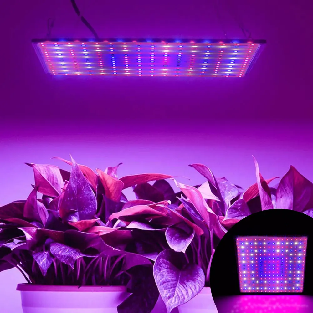 

1000W LED Grow Light for Indoor Plants Full Spectrum Plant Light Growing Lamp for Hydroponic Indoor Plant Veg Flower Grow Tent