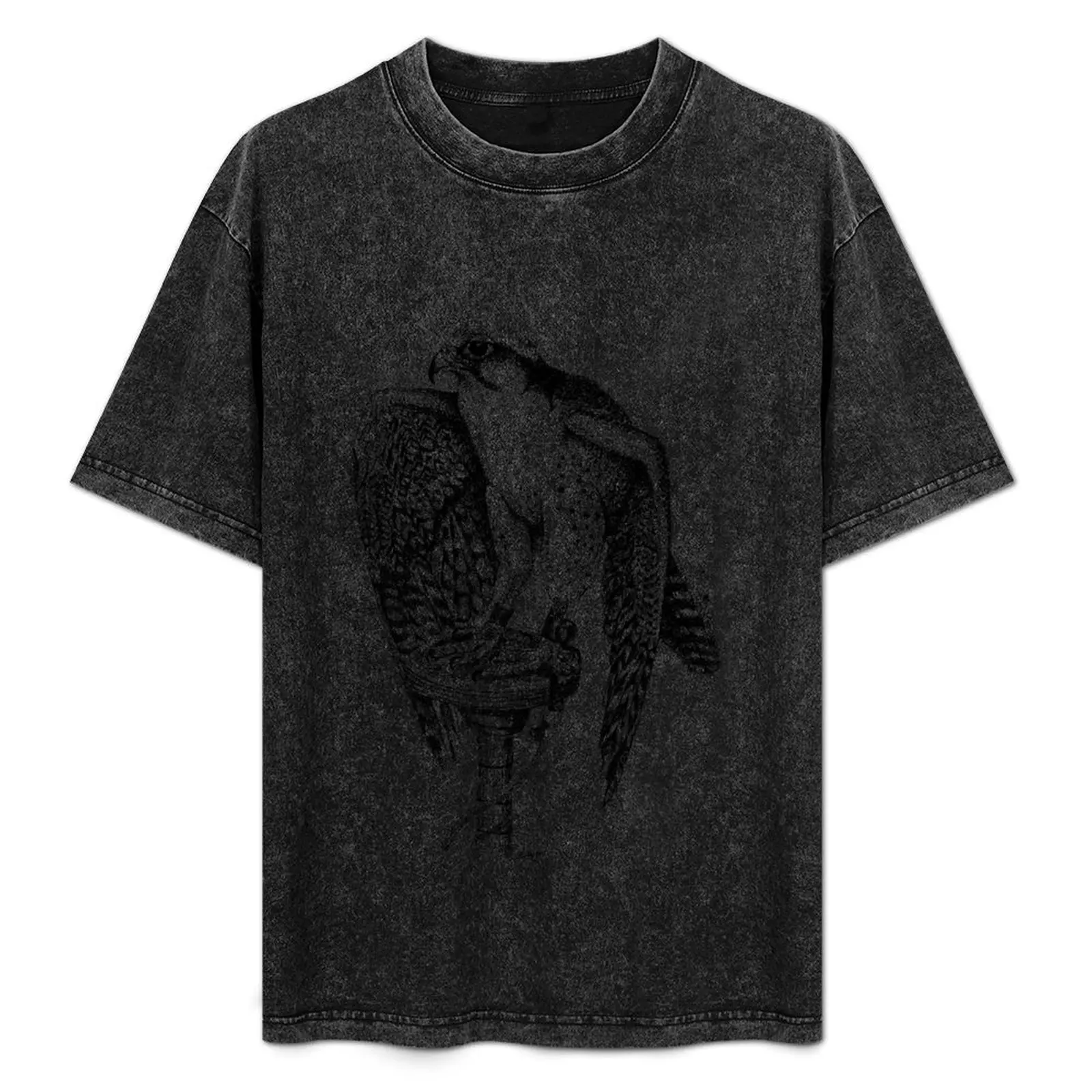 Lanner Falcon Study T-Shirt plus size clothes boys animal print mens graphic t-shirts hip hop