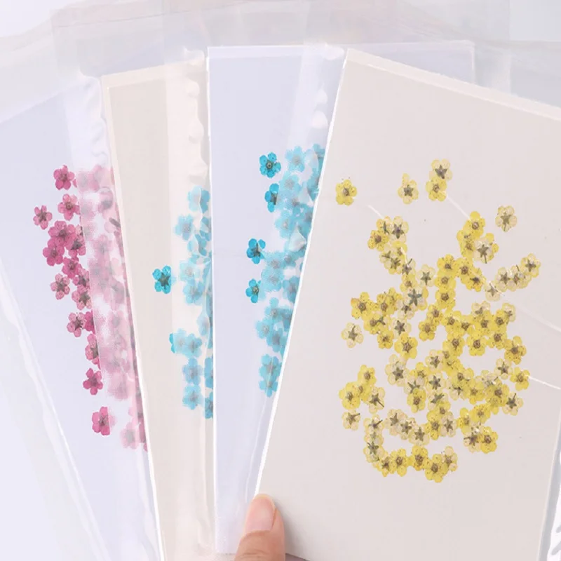 

1000pcs Pressed Dried Narcissus Jonquilla Flower Plant Herbarium For Epoxy Resin Jewelry Bookmark Postcard Nailart Craft DIY