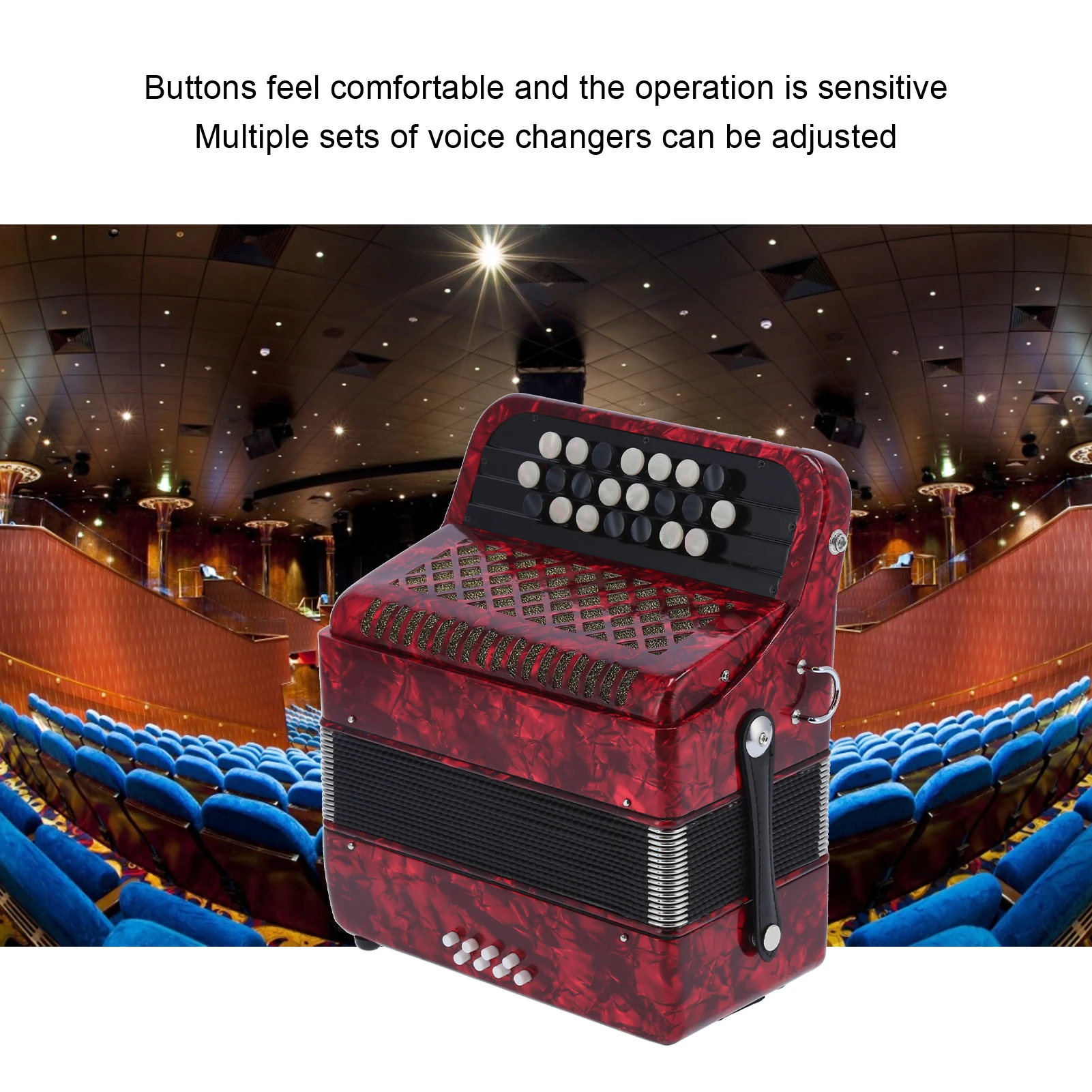 

Accordian 22 Key 8 Bass Professional Button Reed Instrument for Beginner with Storage Bag