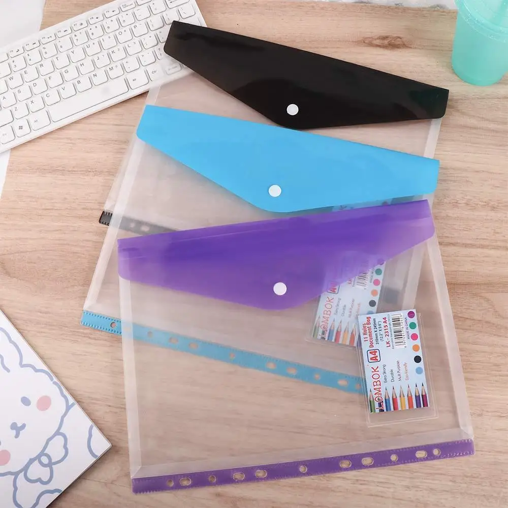 

Bag File Bag Transparent With Snap Closure Storage Bag Document Bag Document Organizer A4 File Folders Test Paper Holder