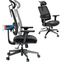 Newtral Ergonomic Home Office Chair, High Back Desk Chair with Unique Adaptive Lumbar Support, Adjustable Headrest, Seat Depth