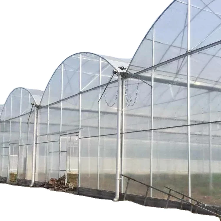 

2025Large Green House With Hot Galvanized Steel Pipe Film Greenhouse Agriculture Greenhouse