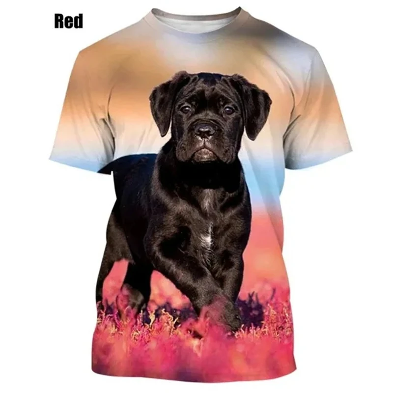 New Fashion Rottweiler 3D Printing T-shirt Men\'s And Women\'s Clothing Summer Casual Short-sleeved Pet Dog Tshirts Oversized Tops