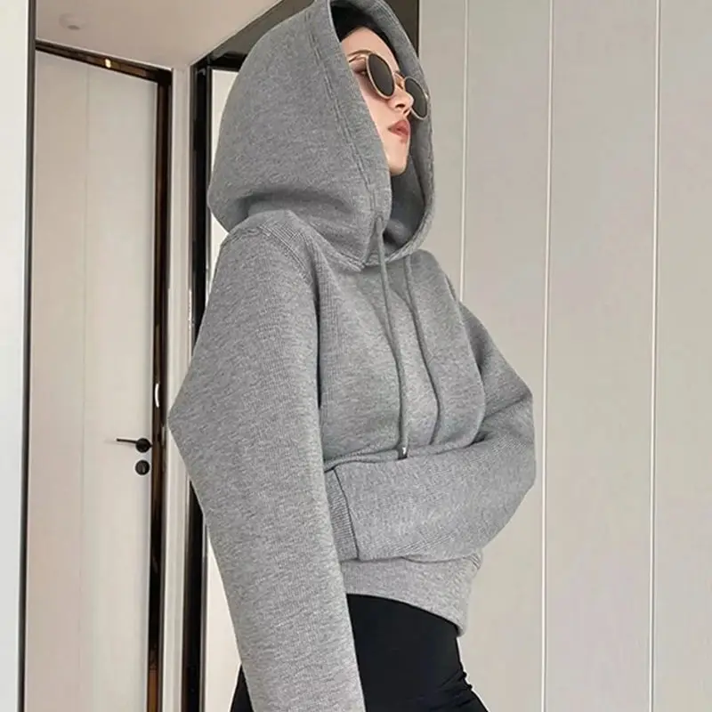 Autumn Winter High End Hooded Women Hoodies Plush Thicken Warm Hoodies Fashion Loose Casual Grey Pullover Sweatshirts