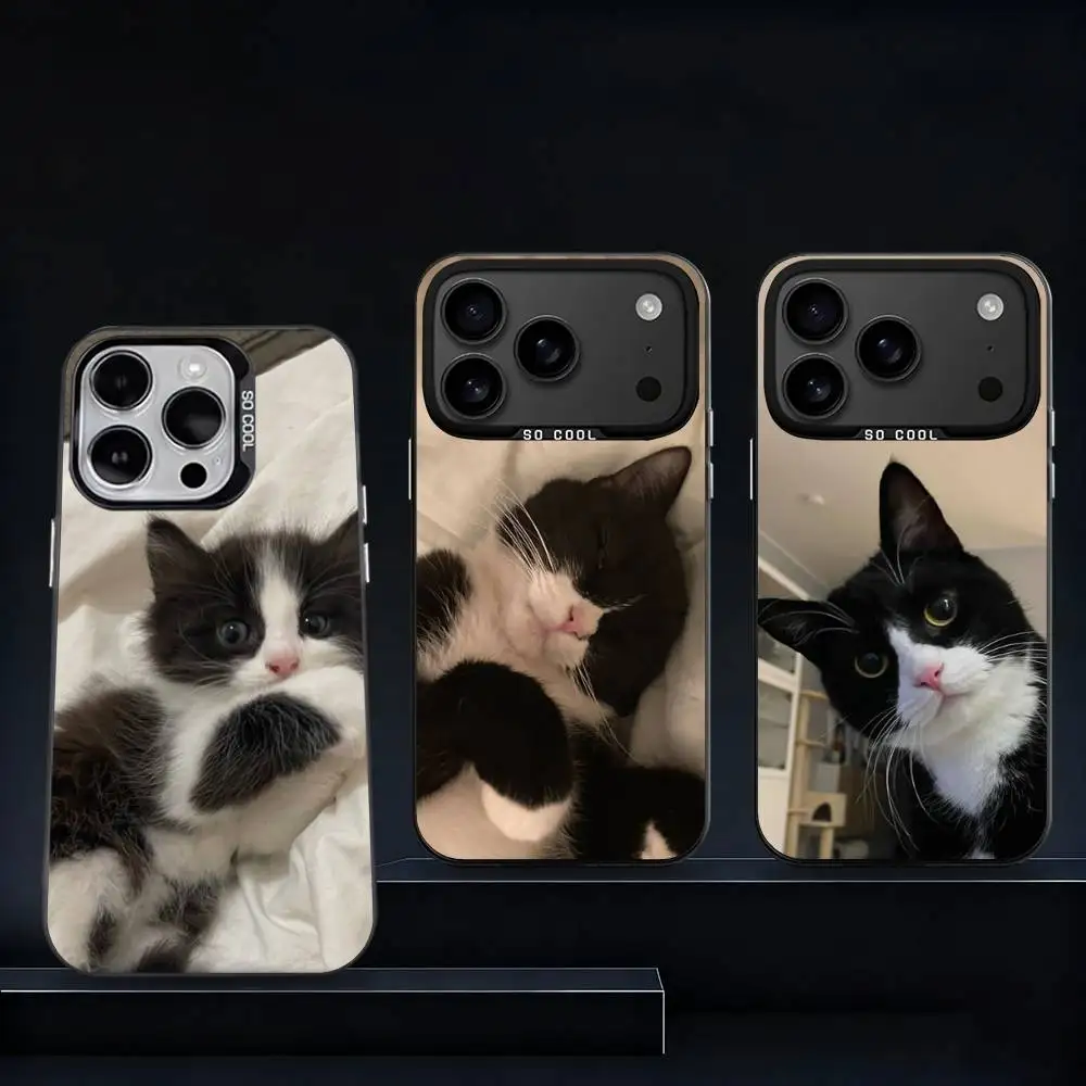 

Cute Black and White Cat Phone Case For iPhone 17,16,15,14,13,12,11,Pro,XS,Max,Plus,Mini,SE4,E Black Matte Shockproof Cover