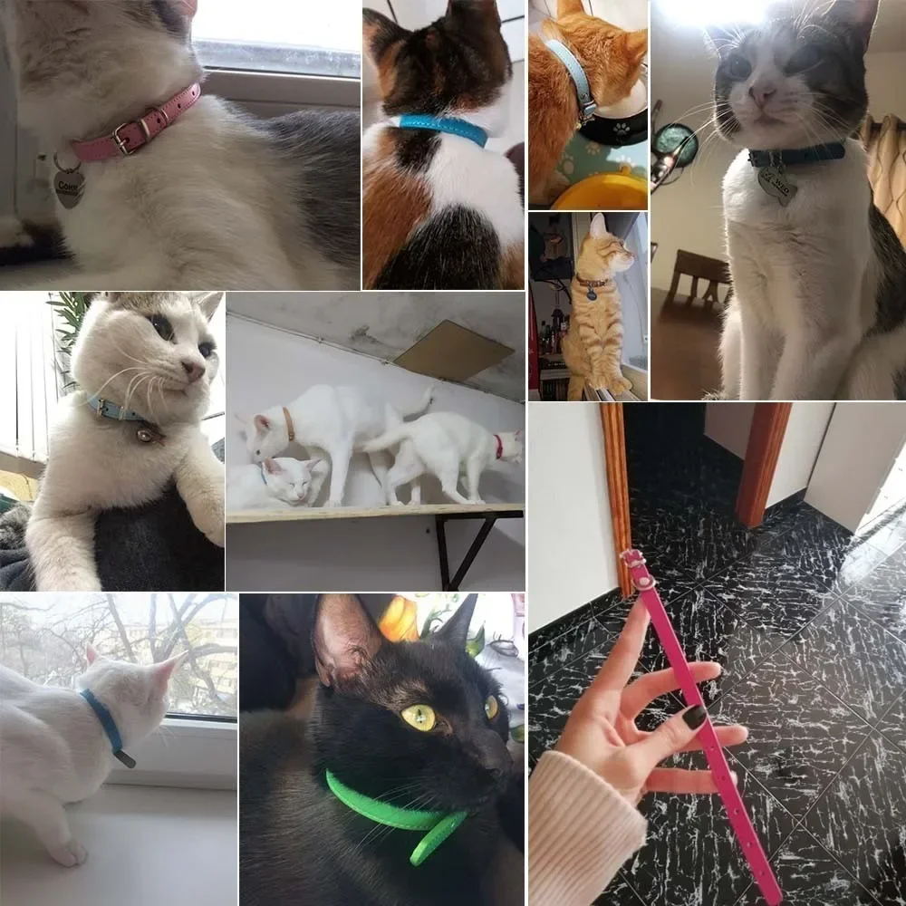 Colar de couro colorido para cachorro, gato e gatinho, colar personalizado com nome, acessórios para animais, arnês