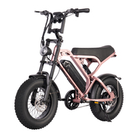 V20 Mini 250W 36V 16 Inch Fat Tire Electric Hybrid Bicycle Fashion Off Road Ebike Lithium Battery Fatbike