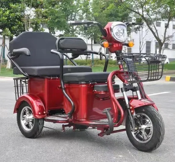 Tricycle électrique 500W, à la mode