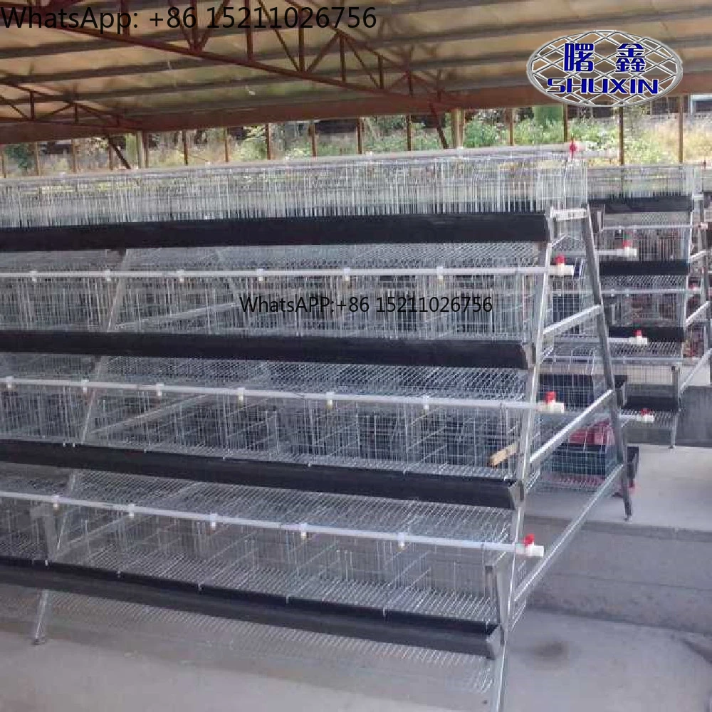 Poultry Farm Automatic a Type Galvanized Layer Egg Laying Chicken Battery Cage System