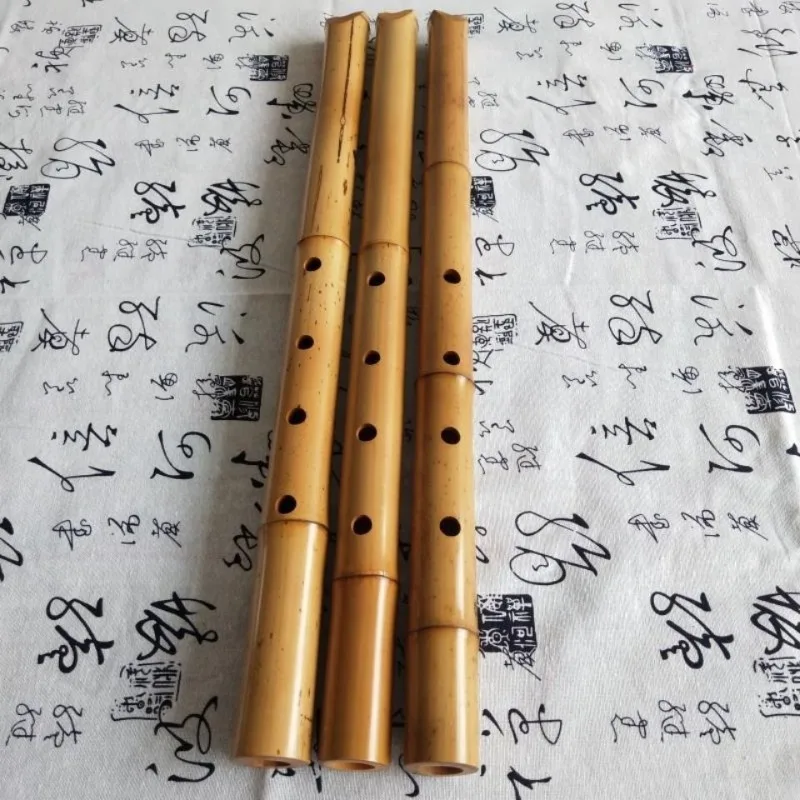 Handmade Bamboo Shakuhachi Beginner Practice Shakuhachi Traditional Performance Vertical Flute Professional Woodwind Instruments