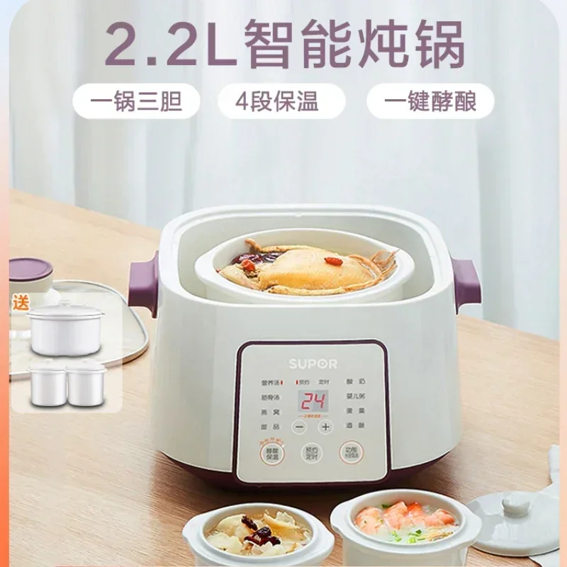 220V Electric Stewpot with Ceramic Water Separation Stewpot, Perfect for Soup and Congee Cooking DAL