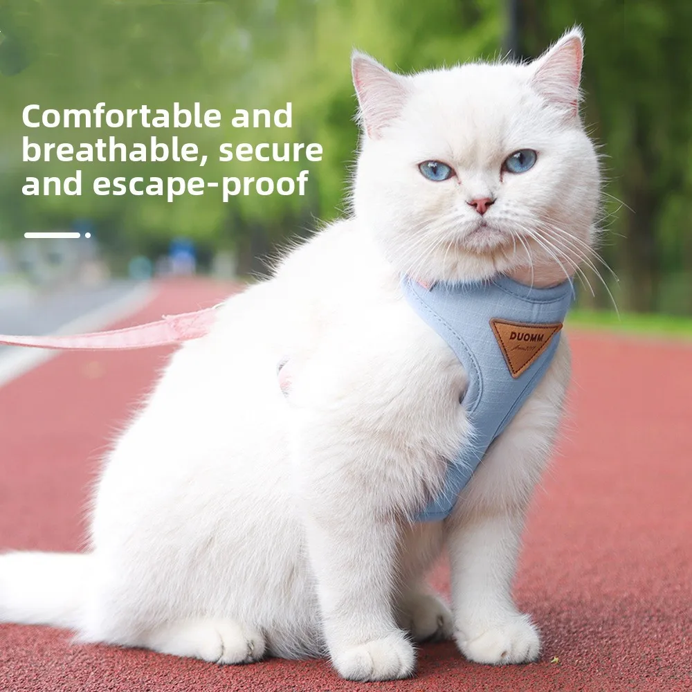 Thumbnail 2 - #22 Compare Pet Harnesses Before You Buy