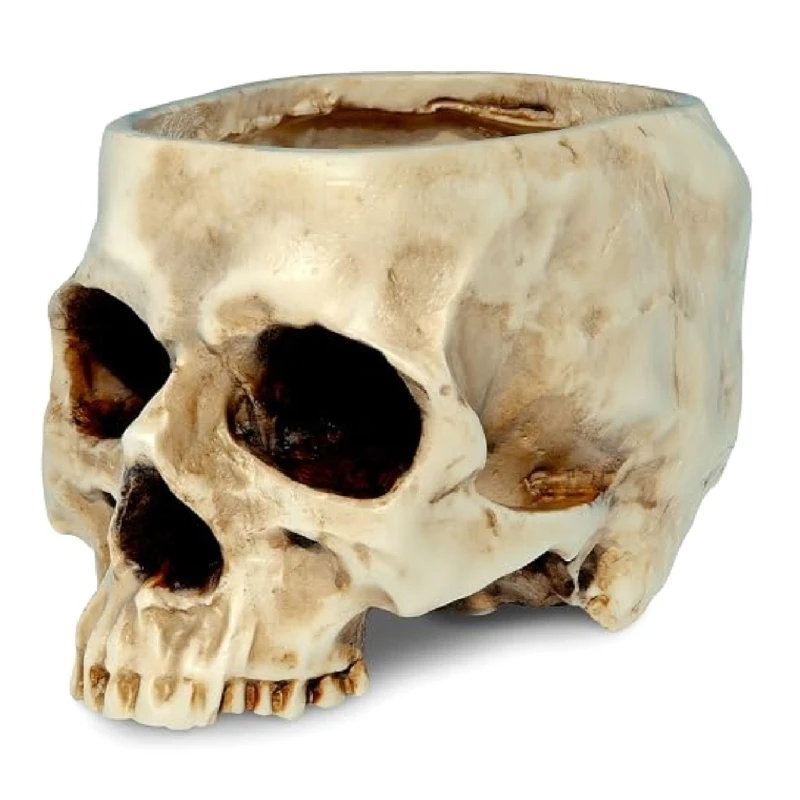 

Ancient Skull Formed Container Can Also Act As A modern Storage For Tiny Items Y5GB