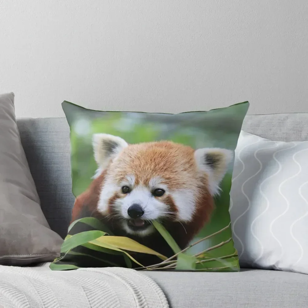 Young Red Panda Throw Pillow Elastic Cover For Sofa Decorative Pillow Covers For Sofa Christmas Pillowcase pillow