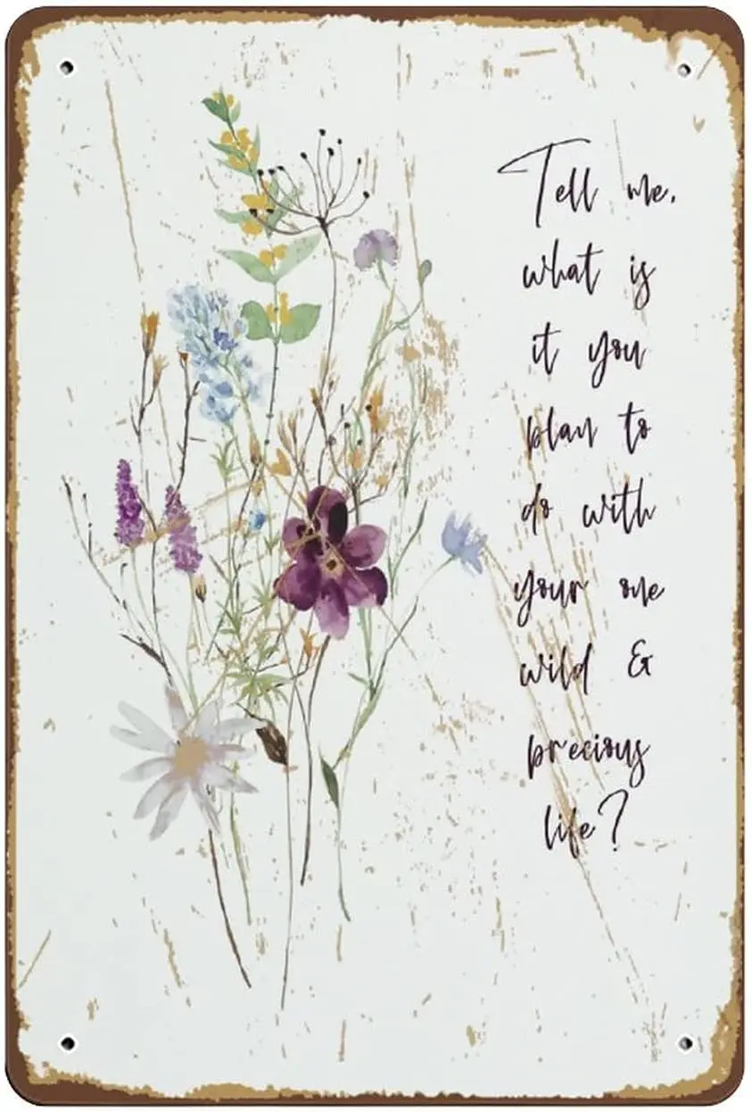 Mary Oliver Quote Tell Me What is It You Plan to Do with Your One Wild & Life Self Love Art Print Novelty Metal Tin sig sign