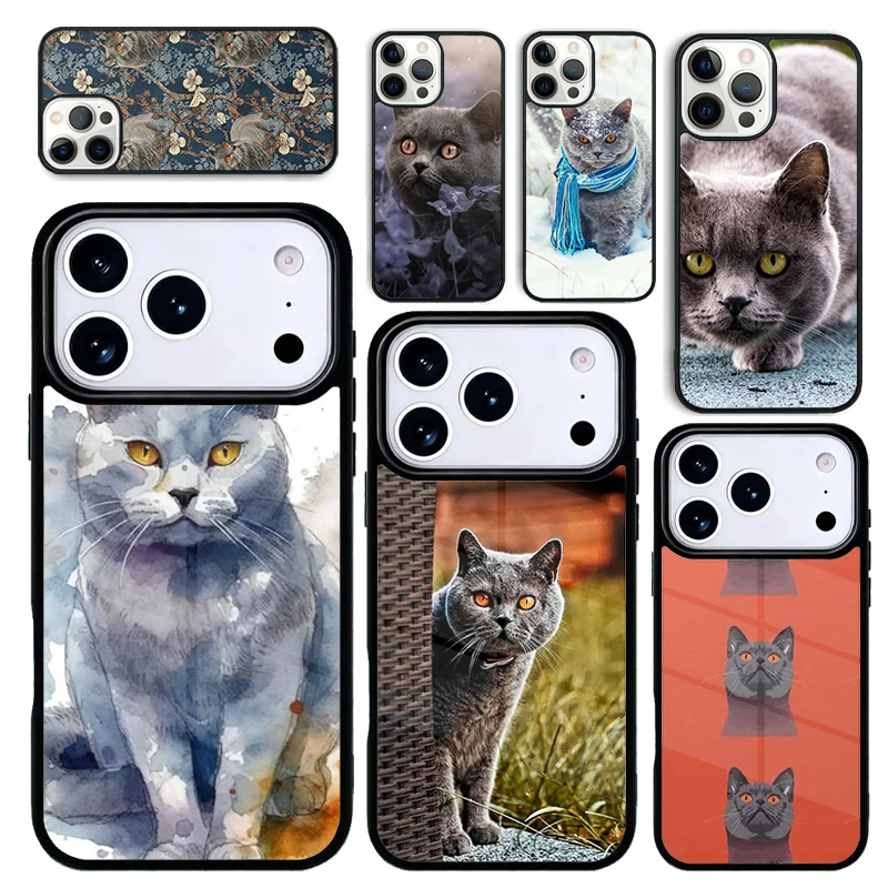 Funda Protectora para iPhone 17 Air 16 Pro Max 15 Plus 11 13 Mini 14 12, Diseño de Gatito Chartreux