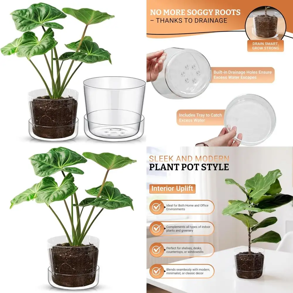 

Современные декоративные стеклянные горшки для растений с дренажем для комнатных растений — варианты 6 и 8 дюймов