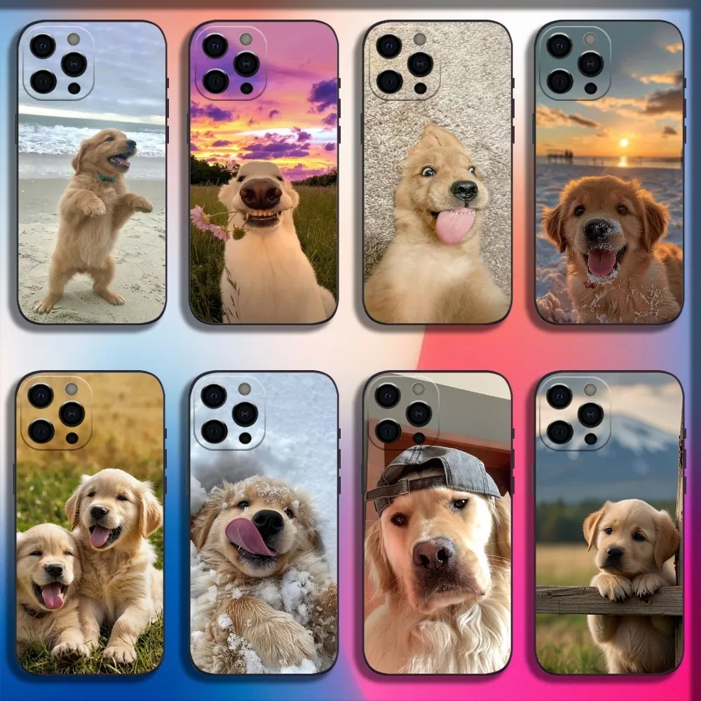 Golden Retriever Dog Pet Phone Case For iPhone 16,15,14,13,12,11,Pro,X,XS,Max,XR,Plus,Mini Soft Black Cover