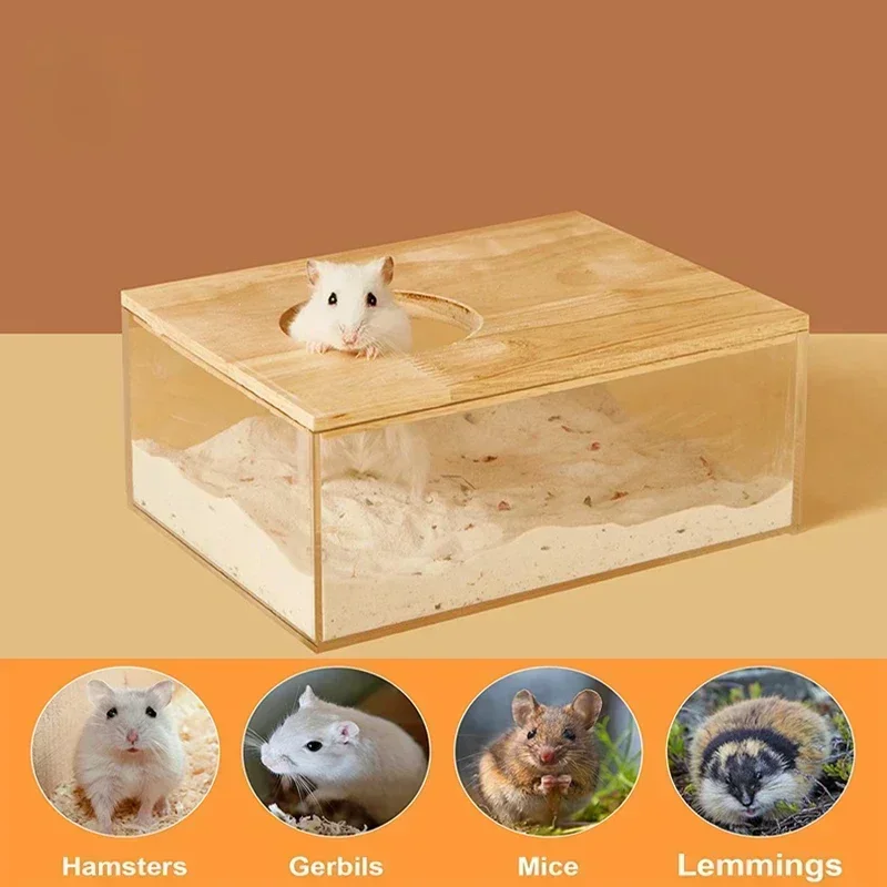 Hamster Bathroom House Sandbox Full Transparent Urine Sand Basin Golden Bear Supplies Sand Bath Container Hamster Bathroom