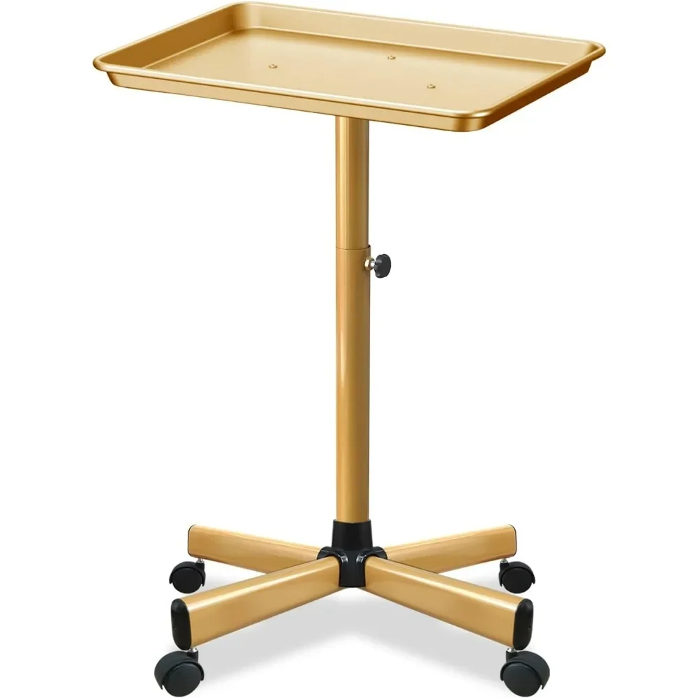 

Salon Tray, Golden Salon Tray, Tattoo Tray on Wheels, Metal Dental Rolling Tray, Services Tray Height-Adjustable, Salon Trolley