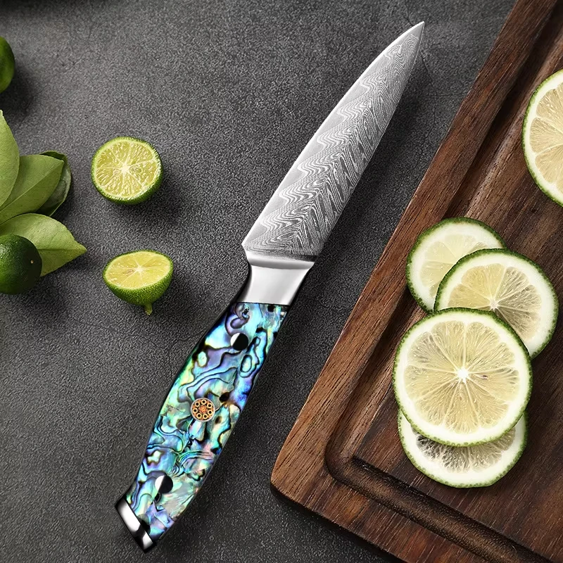 Damascus Paring Knife, 3.5 Inch Japanese VG10 Fruit Knives, Small Kitchen Knives for Precision Cutting, Full Tang Peeling Knives
