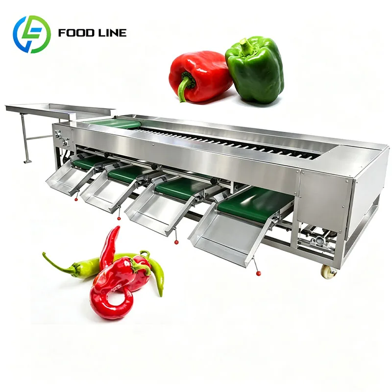 Produce Grading Machine Fruit Sorter Vegetable Grader for Tomato Potato Onion Avocado Mango Kiwi Customized