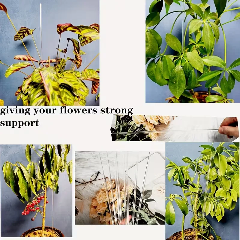 

Plant Stakes/Plant Sticks 10PCS Acrylic Clear Plant Support Stakes,16 Inches Garden Single Stem for Indoor and Outdoor Plants