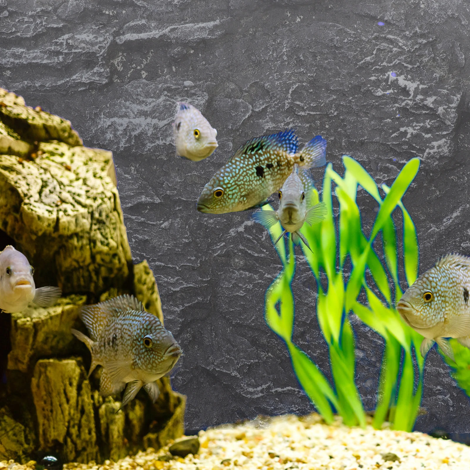 

3D Terrarium Rock Slab Decoration for Snake Tank Fish Aquarium Realistic Texture Reptile Reptile Enclosure Background Habitat