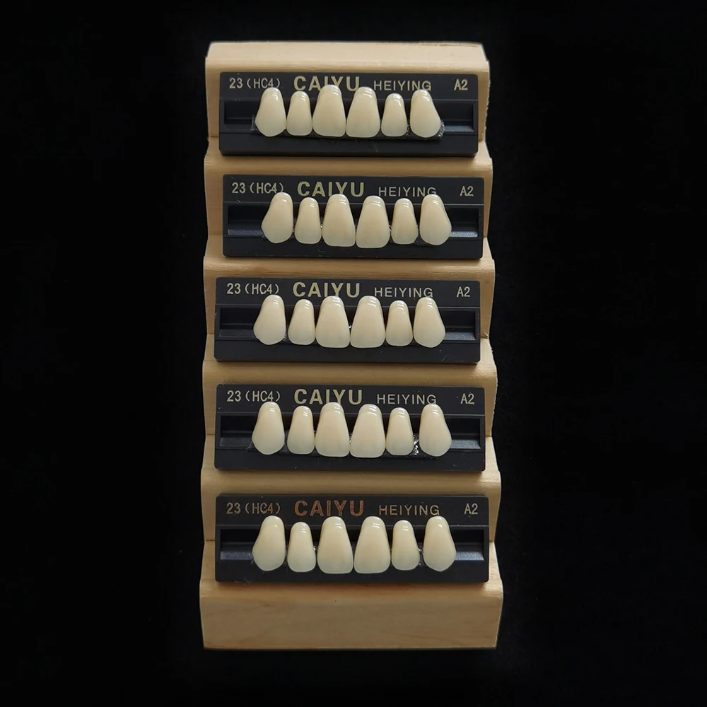 Thumbnail 4 - #20 Dental Teaching Models List of Top Picks