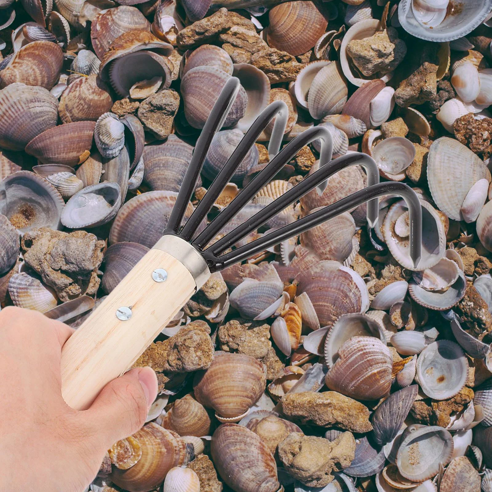 

Small Ergonomic Claw Rake Handheld Garden Tool with Wooden Handle Stainless Steel for Beach Shell Digging Clam Rake Outdoor