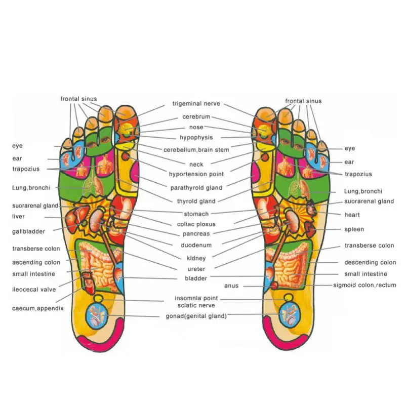 Acupressure on Foot Shoes Insole Magnet Massage Insoles for Men increase time Women lose weight Shoe Sole