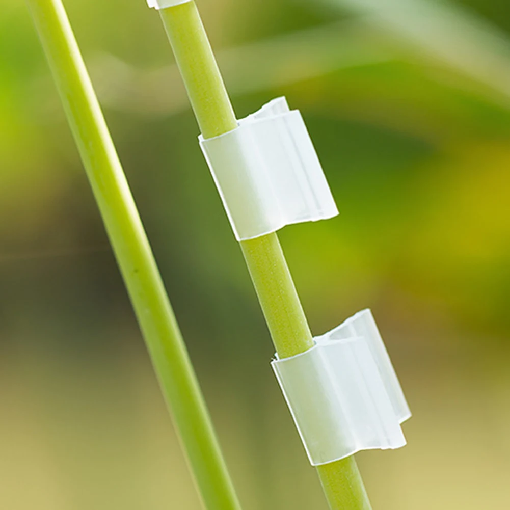 100pcs Clear Grafting Clips for Plants with 7 Adjustable Sizes 2 2.5 3 3.5 4 4.5 5mm Supporting Growth and Stability