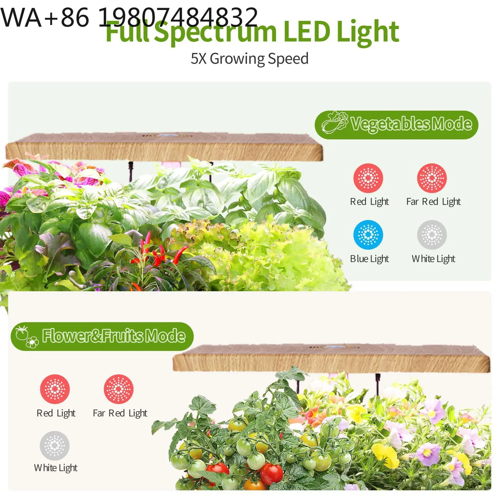 Sturdy  Seedling Soilless Tray Intelligent Timing Full Spectrum Light Hydroponic Cultivation Gear For Indoor Vegetable Mass