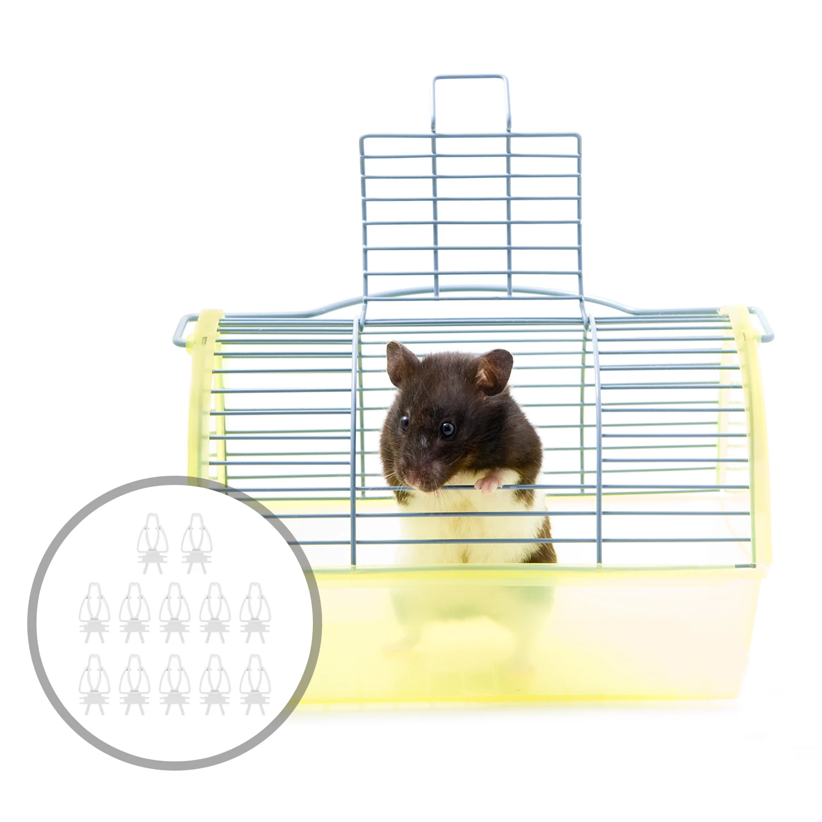 

12Pcs Birds Food Holder Plastic Parrot Vegetable Fruit Clamp Feeding Tool Cage Supply for Small Pets Birds Food Clips