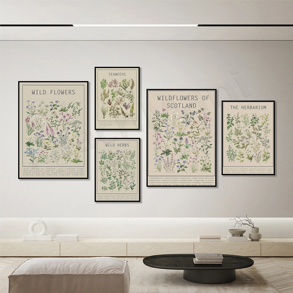 Scottish herbarium and wildflowers weeds poster, seaweed poster, coastal art, botanical poster infographic
